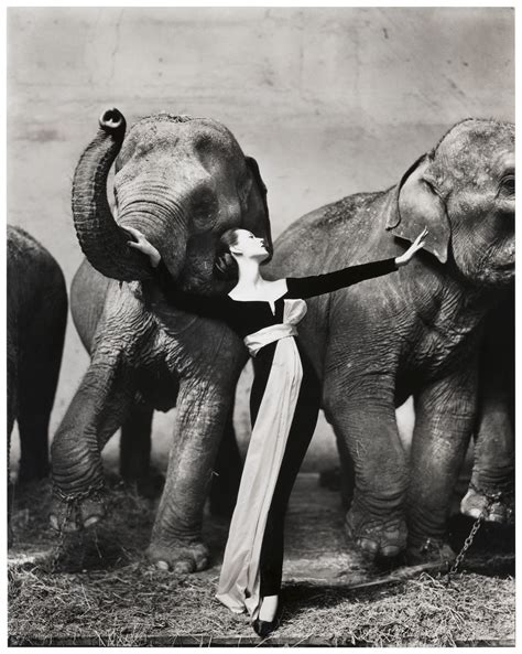 richard avedon elephant dress.